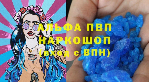 дмт Инта