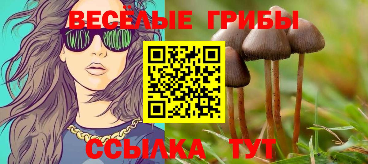Псилоцибиновые грибы ЛСД Гусев