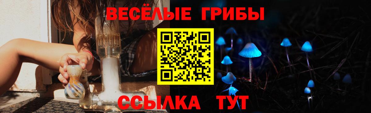 Гусев  закладка  Вход с VPN  Псилоцибиновые грибы MAGIC MUSHROOMS  Псилоцибиновые грибы мицелий 